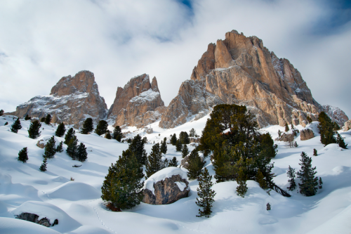 雪國美景10