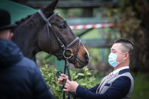 從速度賽馬到奧運馬術騎手