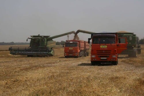 中國不顧俄羅斯入侵烏克蘭之舉，點頭准許進口俄羅斯小麥