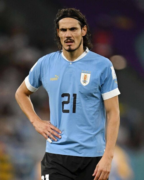 35Cavani.jpg