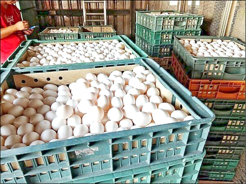 UBO8-国际新闻-雞蛋連2漲 批發價每斤52元