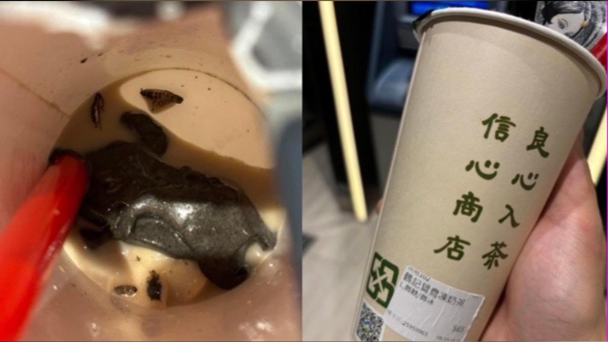 通博娛樂城-線上娛樂-芝麻凍飲「驚咬到爆漿蟑螂」！一看杯底崩潰　鶴茶樓深夜急道歉