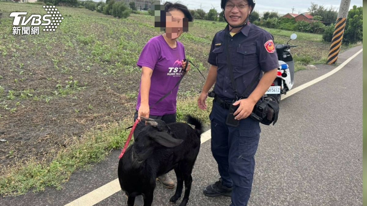 通博-線上娛樂-【社會新聞】走失羊鬧民宅還偷吃！苦主綁緊求帶走　警「超暖舉動」感人結局曝